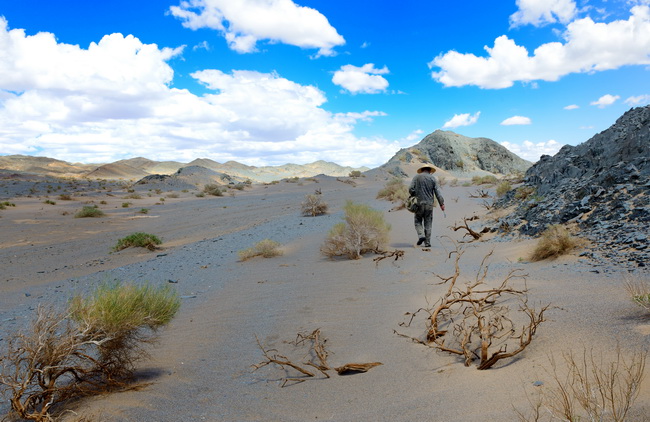 18 組照2-4：《荒漠獨行俠》-王權_調整大小.JPG